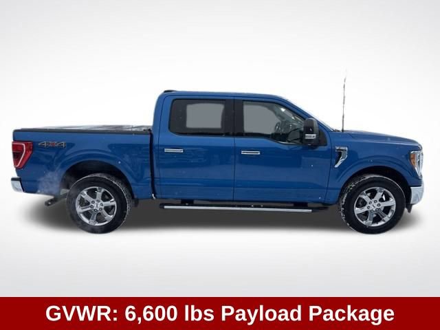 Used 2021 Ford F150 XLT w/ Equipment Group 302A High image 9