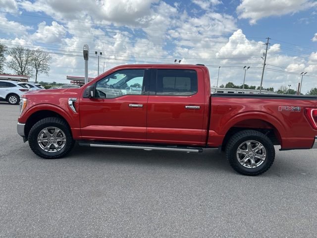 Used 2023 Ford F150 XLT w/ Equipment Group 302A High AWD/4WD image 28