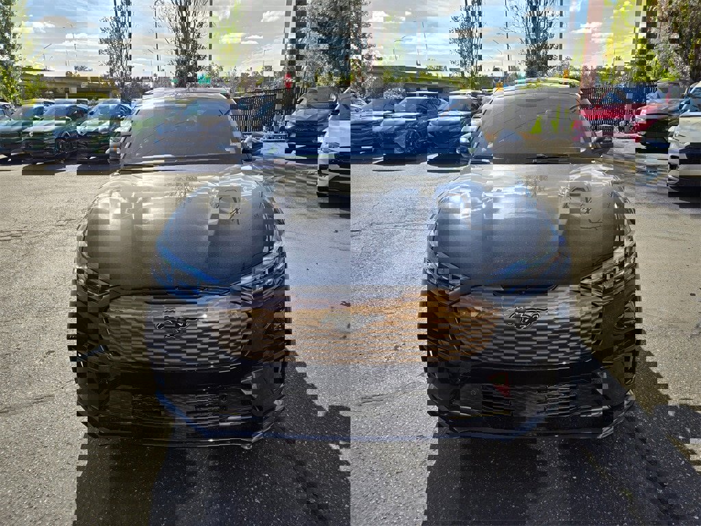 New 2025 Ford Mustang Mach-E GT w/ Bronze Appearance Package image 2