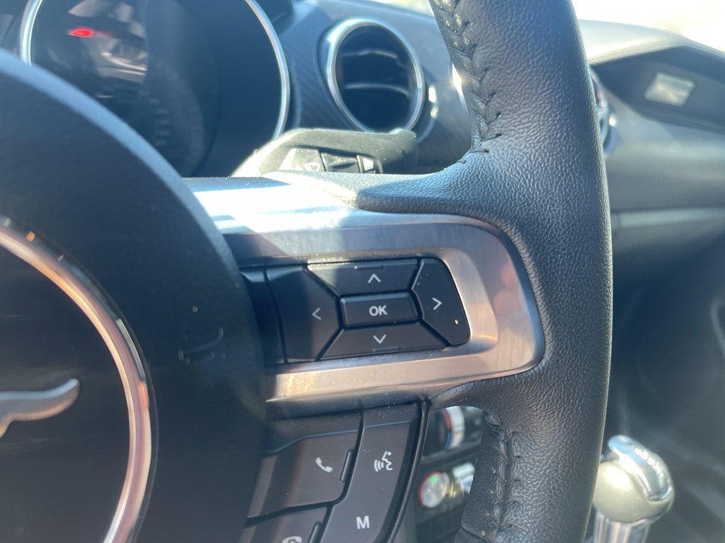 Used 2022 Ford Mustang EcoBoost w/ Equipment Group 101A image 14