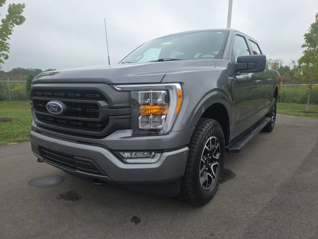 Used 2023 Ford F150 XLT w/ Equipment Group 302A High AWD/4WD image 2
