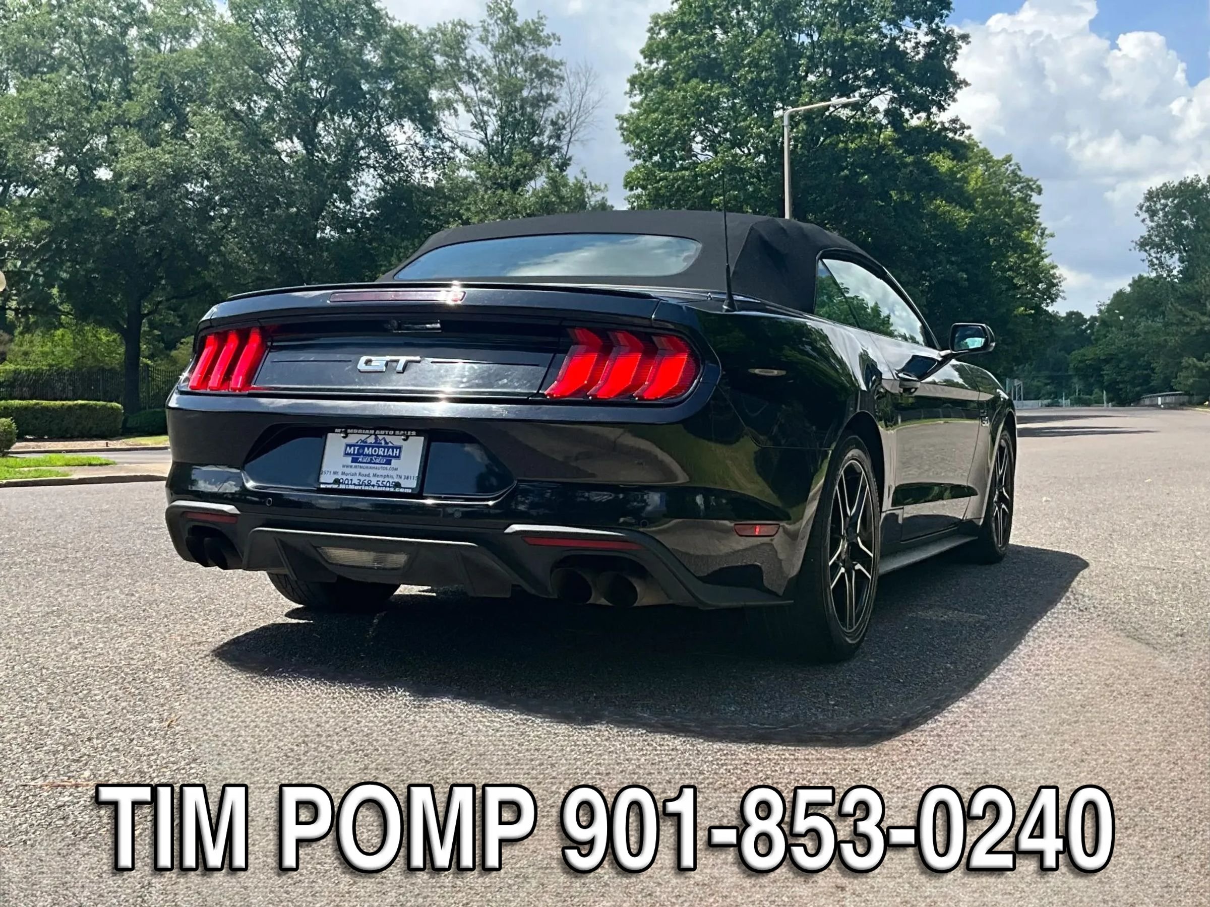 Used 2019 Ford Mustang GT Premium w/ Equipment Group 401A RWD image 5