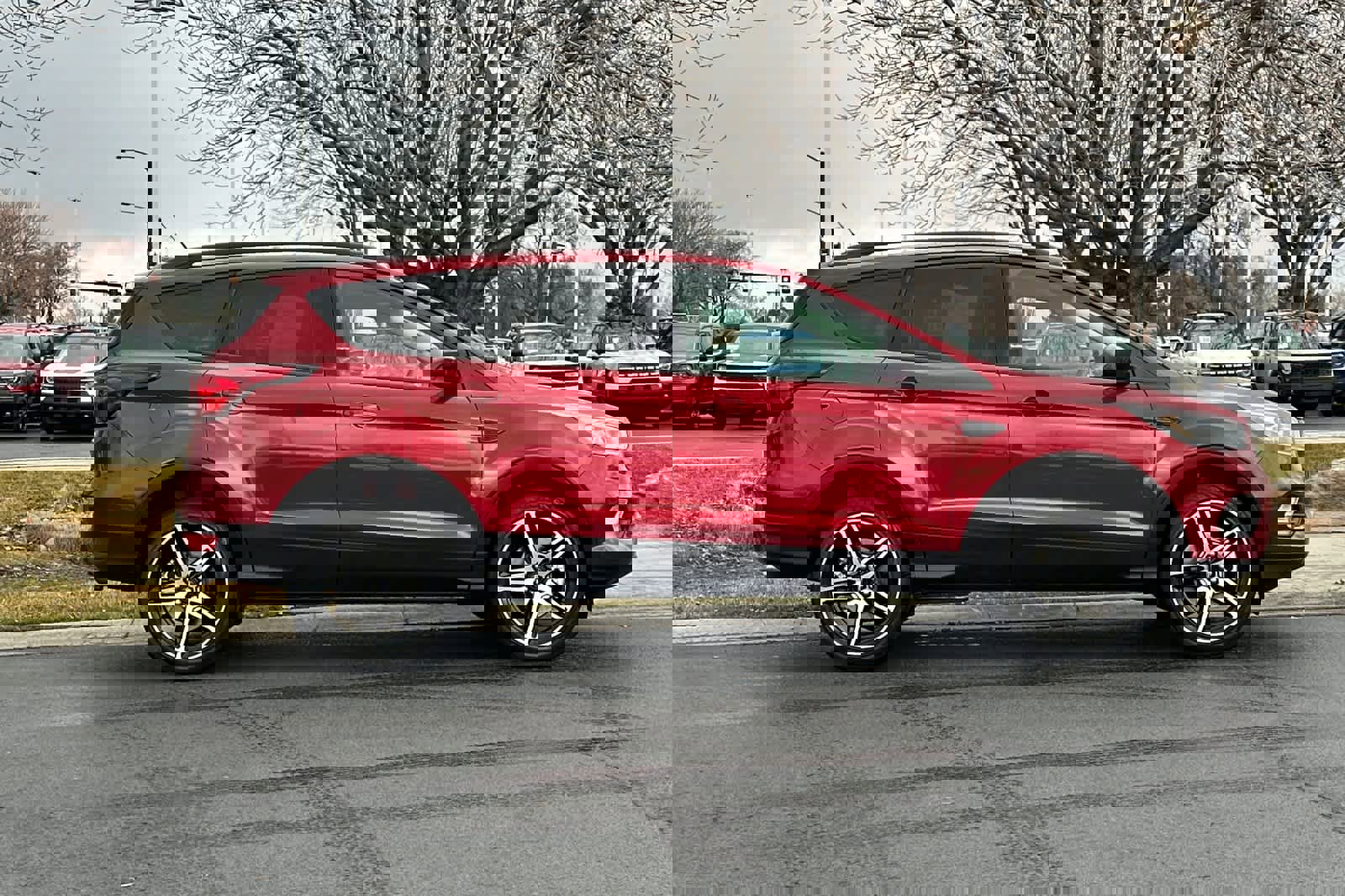 Certified 2019 Ford Escape SEL image 8