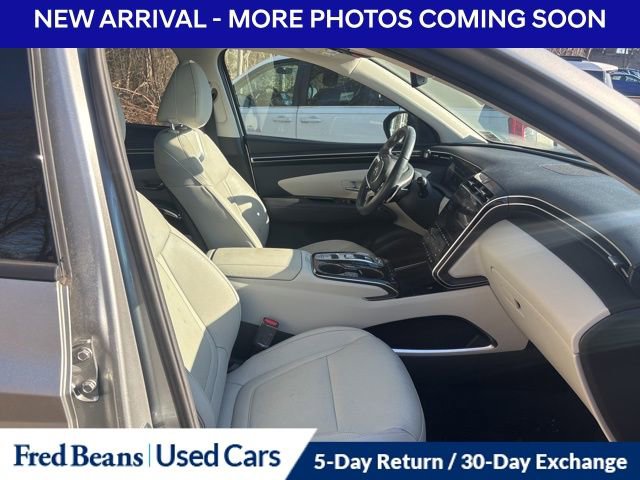 Used 2023 Hyundai Tucson Limited image 9