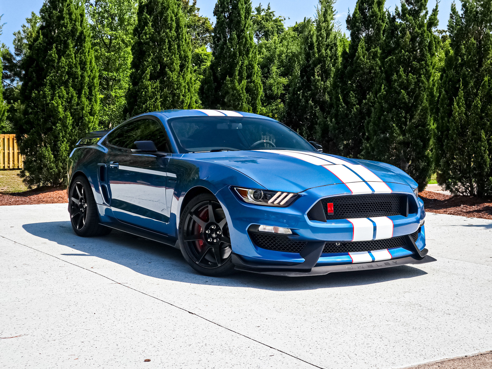 Used 2020 Ford Mustang Shelby GT350R w/ GT350R Equipment Group 920A RWD image 2