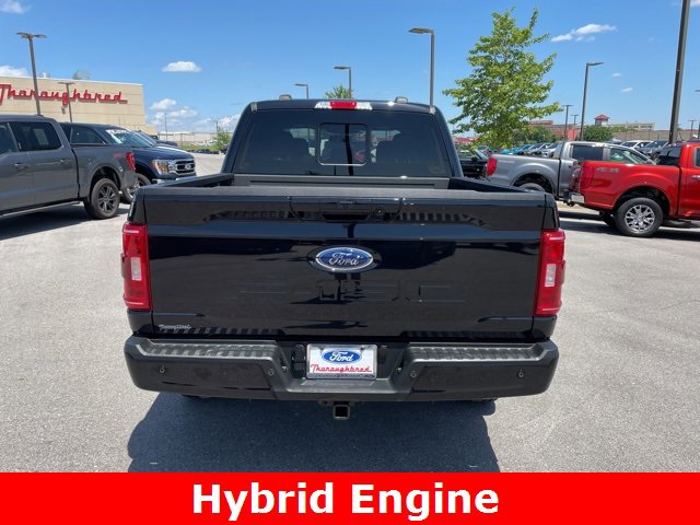 Used 2022 Ford F150 XLT w/ Equipment Group 302A High image 4