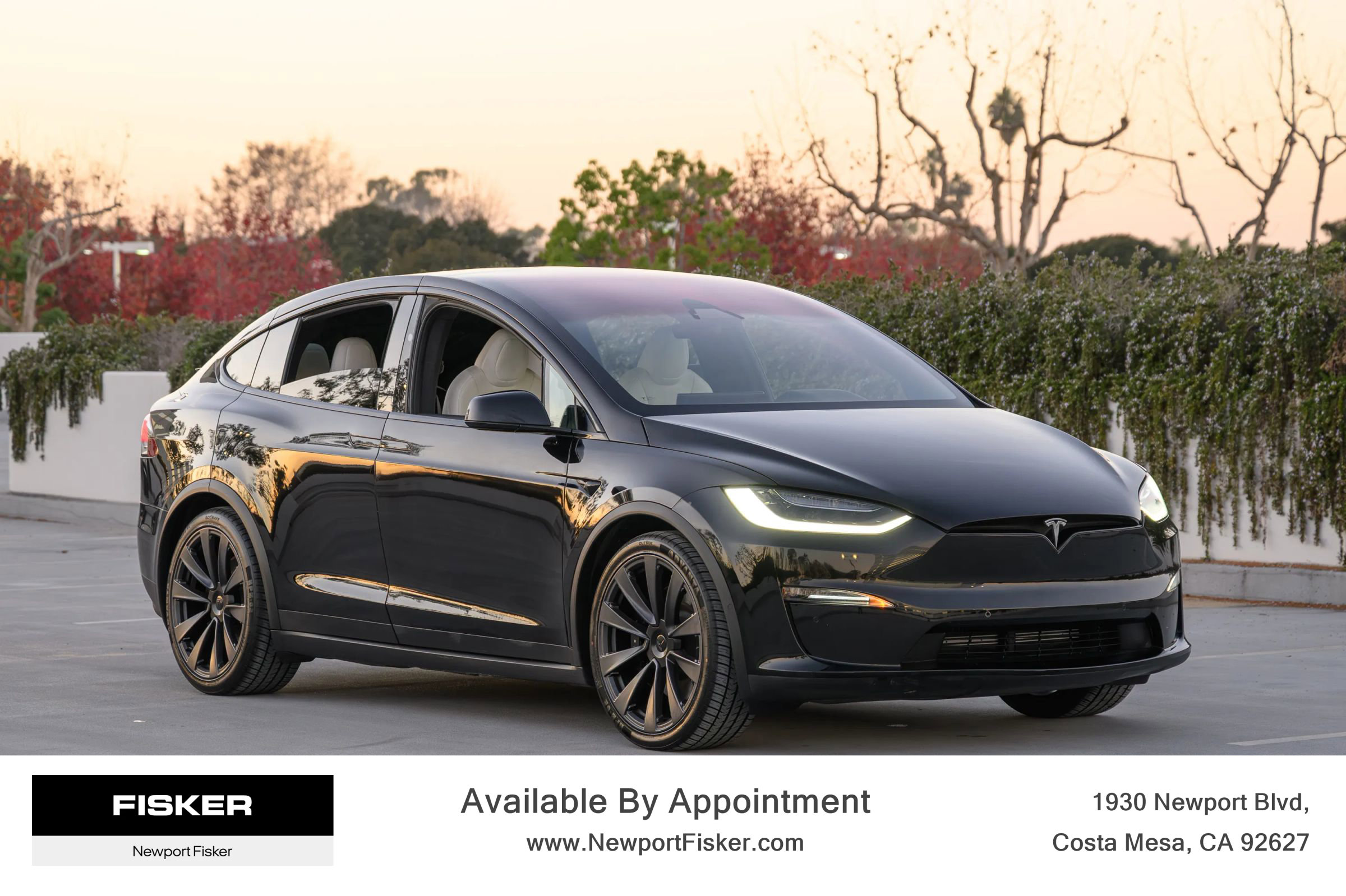 Used 2022 Tesla Model X Plaid image 6