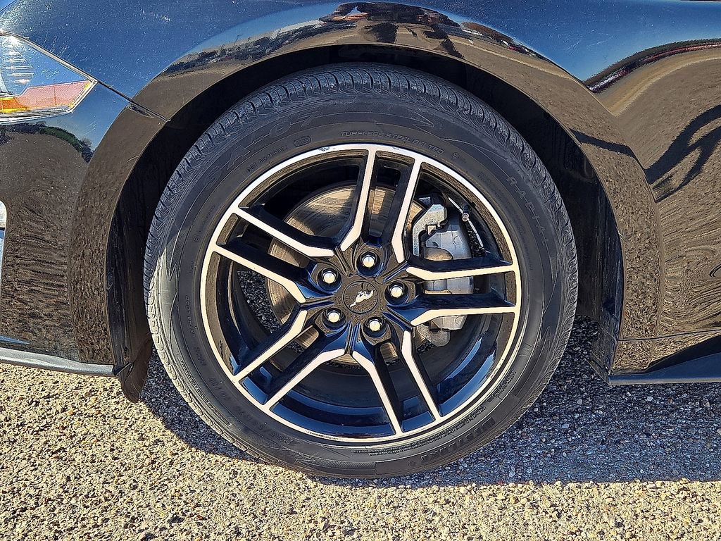 Used 2023 Ford Mustang Premium image 12