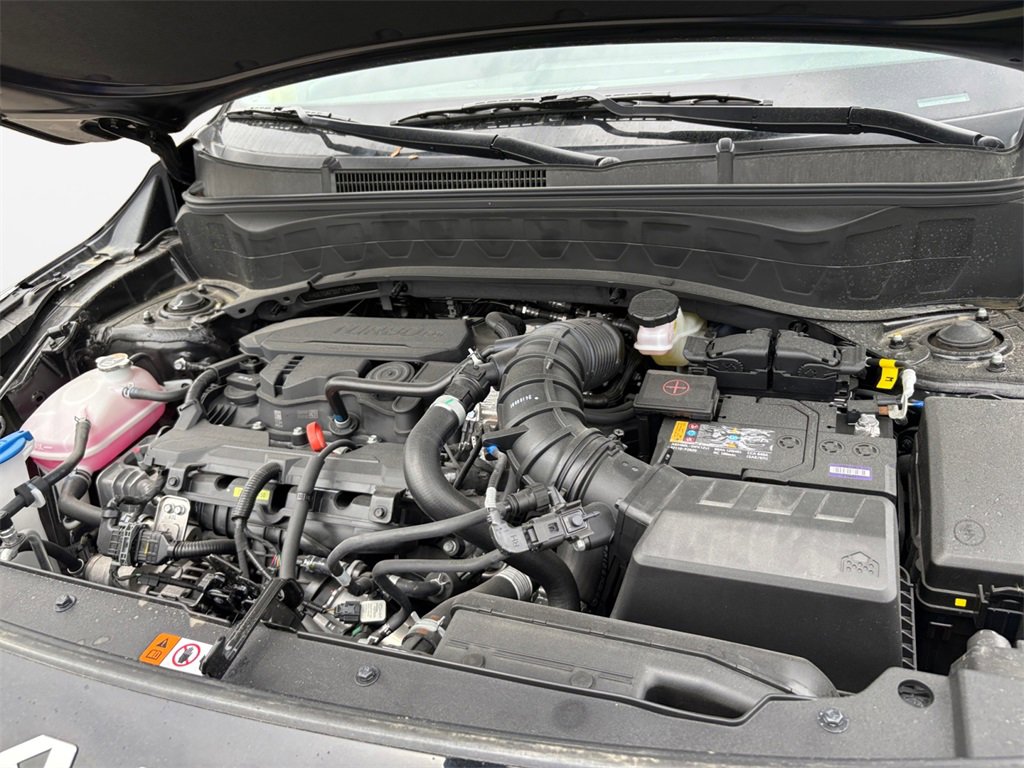 New 2025 Kia Seltos SX w/ SX Sunroof Package image 23