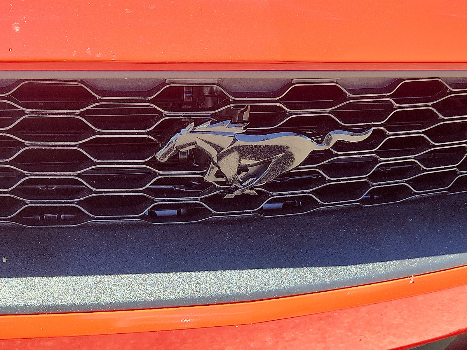 Used 2021 Ford Mustang Coupe w/ Equipment Group 101A RWD image 31