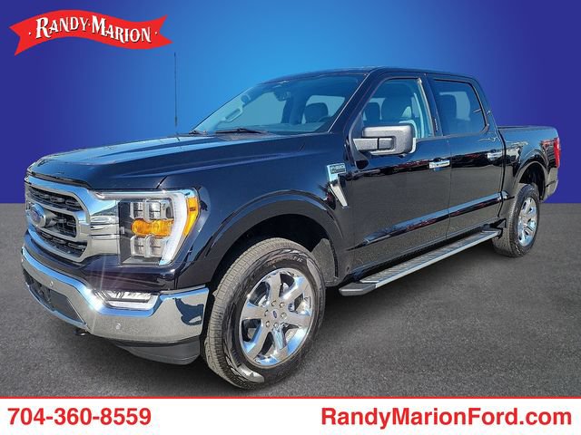 New 2023 Ford F150 XLT w/ Equipment Group 302A High AWD/4WD image 1