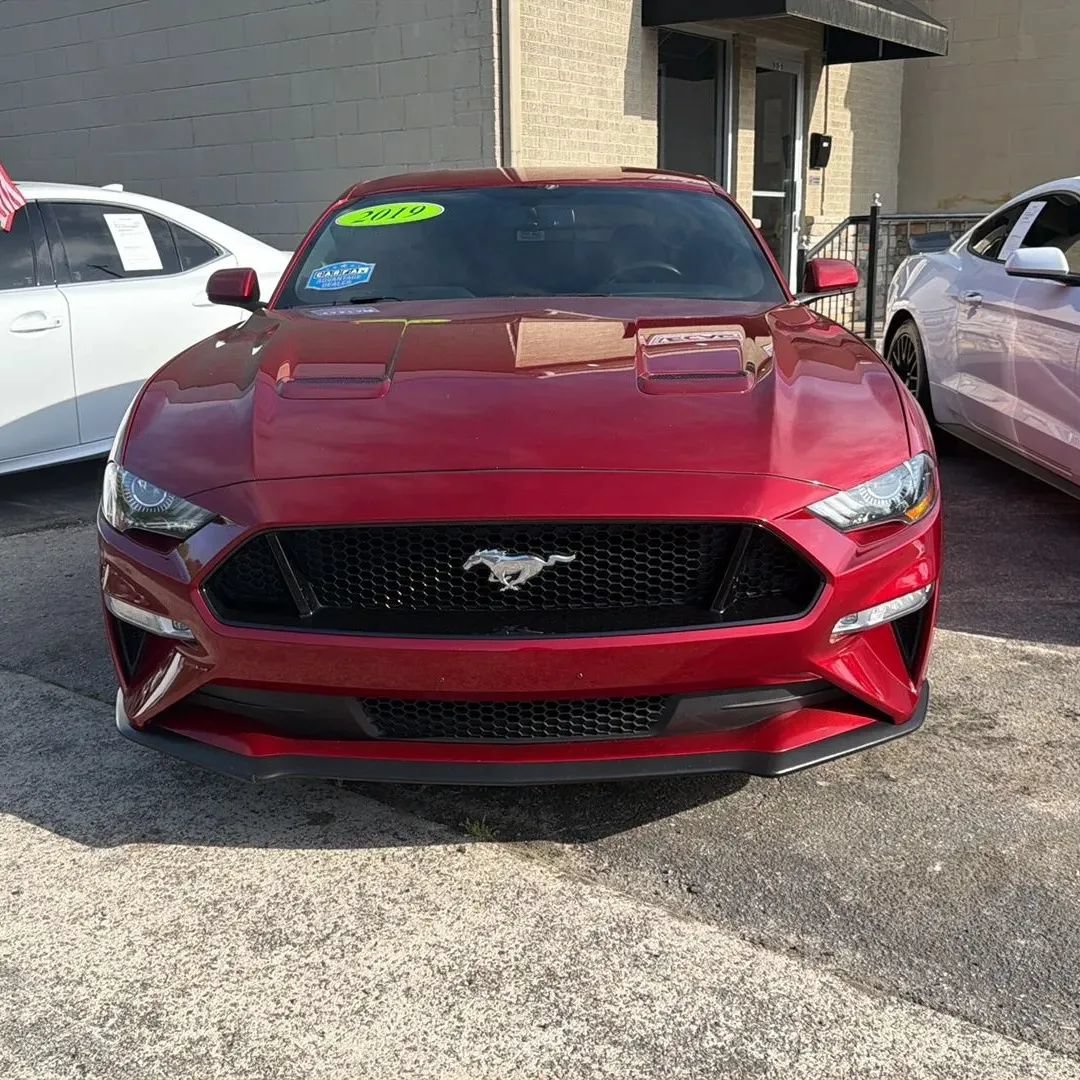 Used 2019 Ford Mustang GT w/ Equipment Group 301A RWD image 3