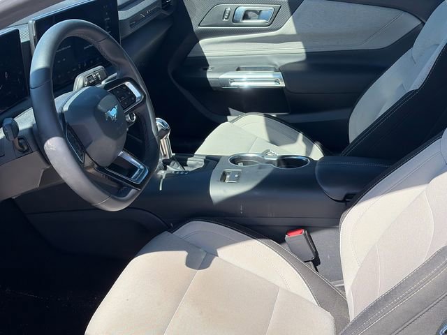 Used 2024 Ford Mustang EcoBoost w/ Mustang Nite Pony Package image 13