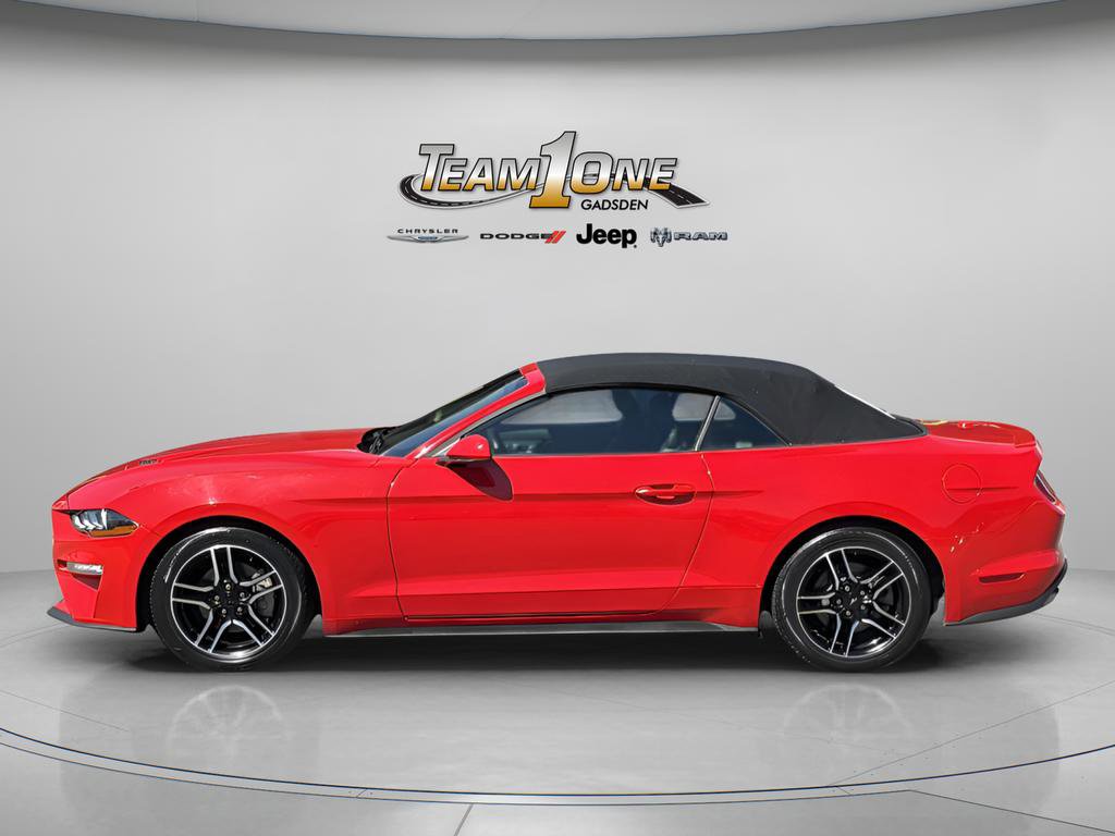Used 2023 Ford Mustang Premium RWD image 5