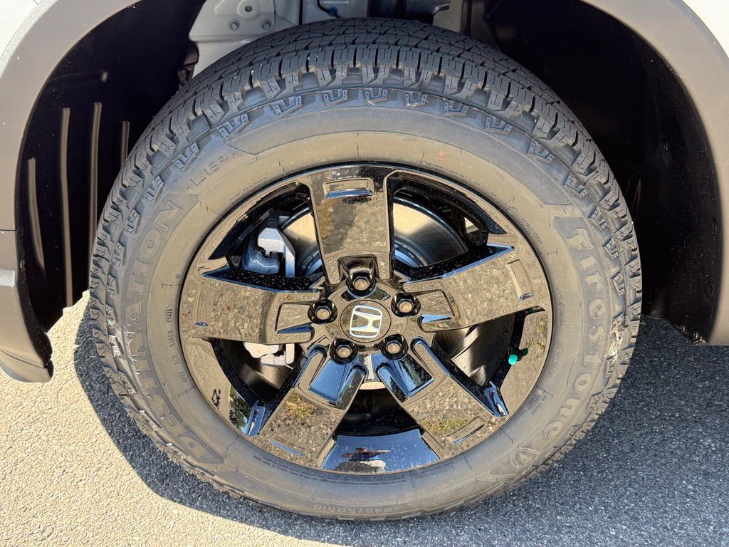 New 2026 Honda Ridgeline Black Edition image 11