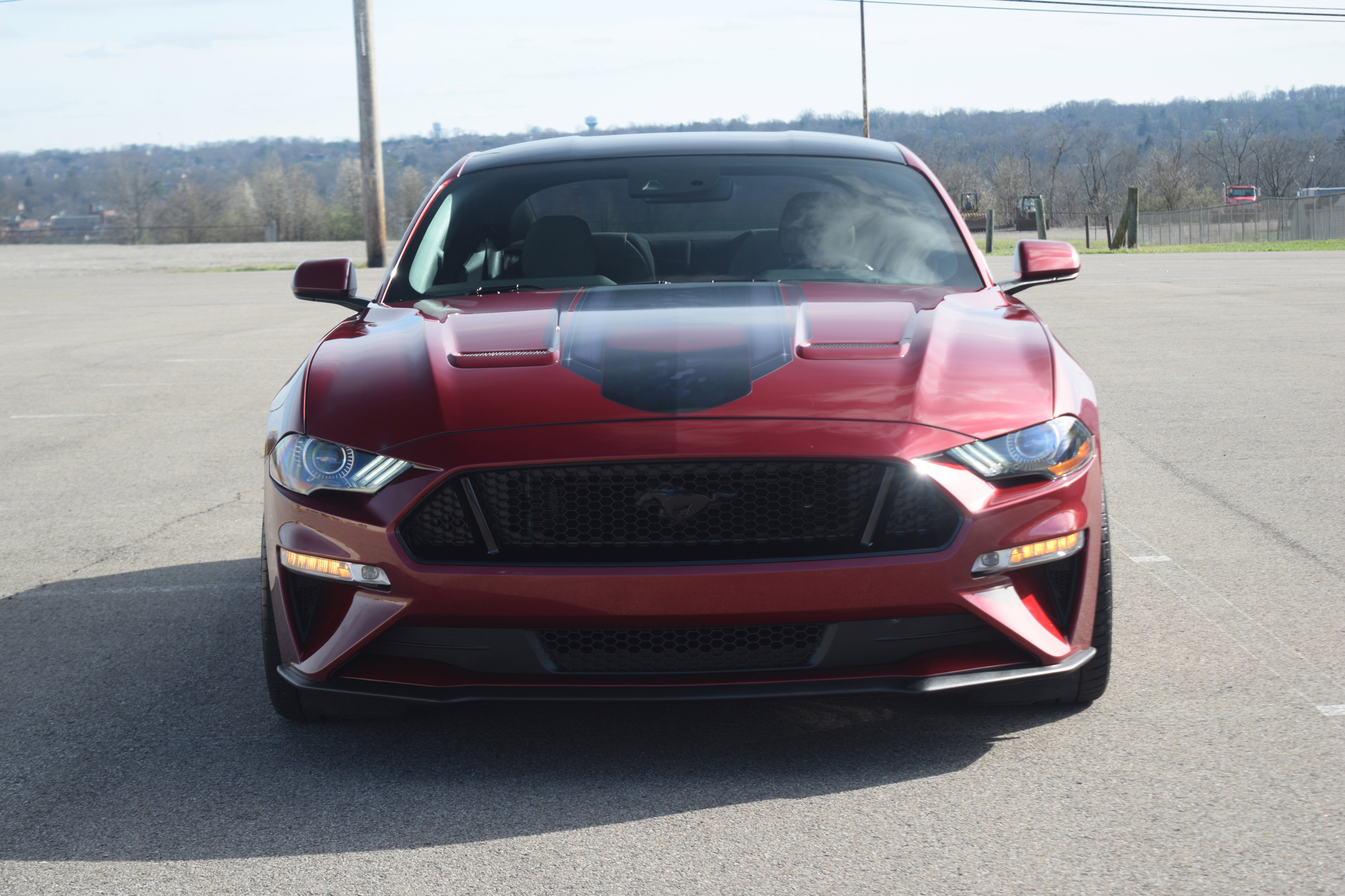 Used 2019 Ford Mustang GT w/ Equipment Group 301A image 19
