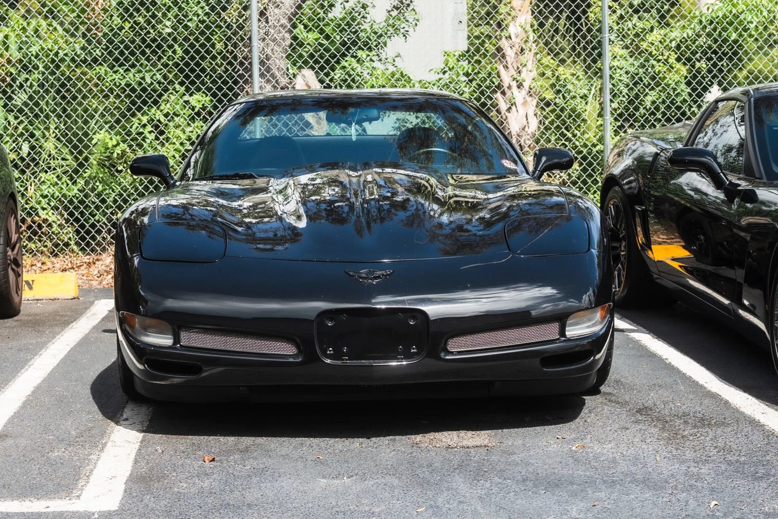 Used 2002 Chevrolet Corvette Z06 w/ Memory Pkg RWD image 3