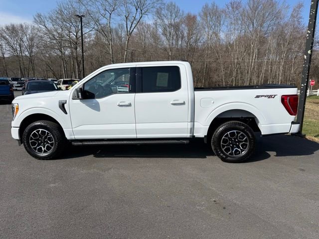 Certified 2023 Ford F150 XLT w/ Equipment Group 302A High image 3
