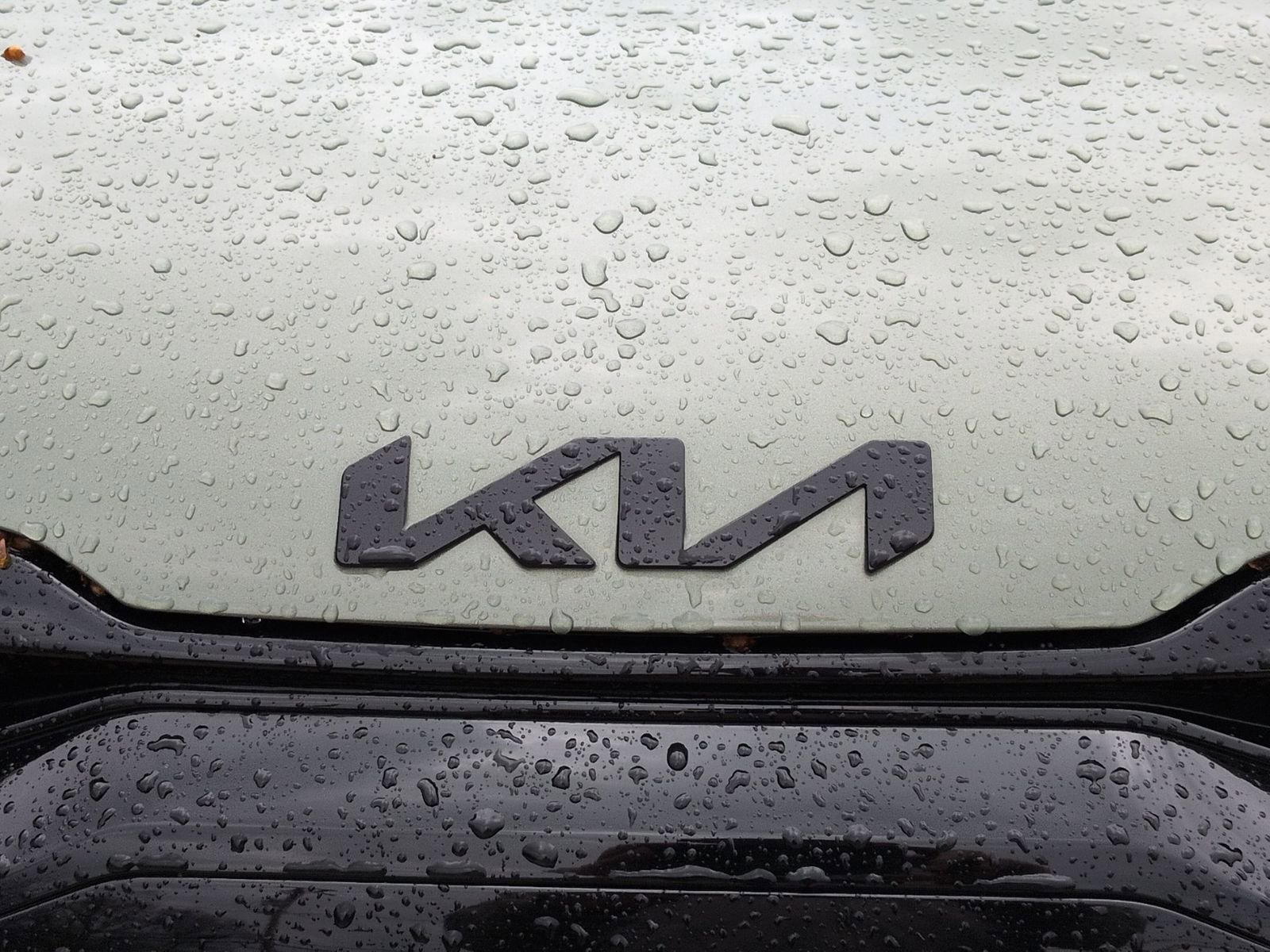 Used 2025 Kia Sportage X-Line image 35