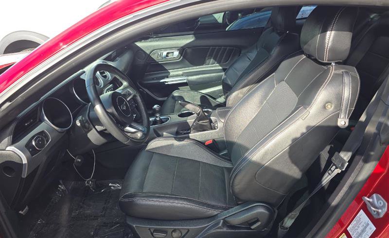 Used 2023 Ford Mustang GT Premium w/ Mustang Nite Pony Package image 9