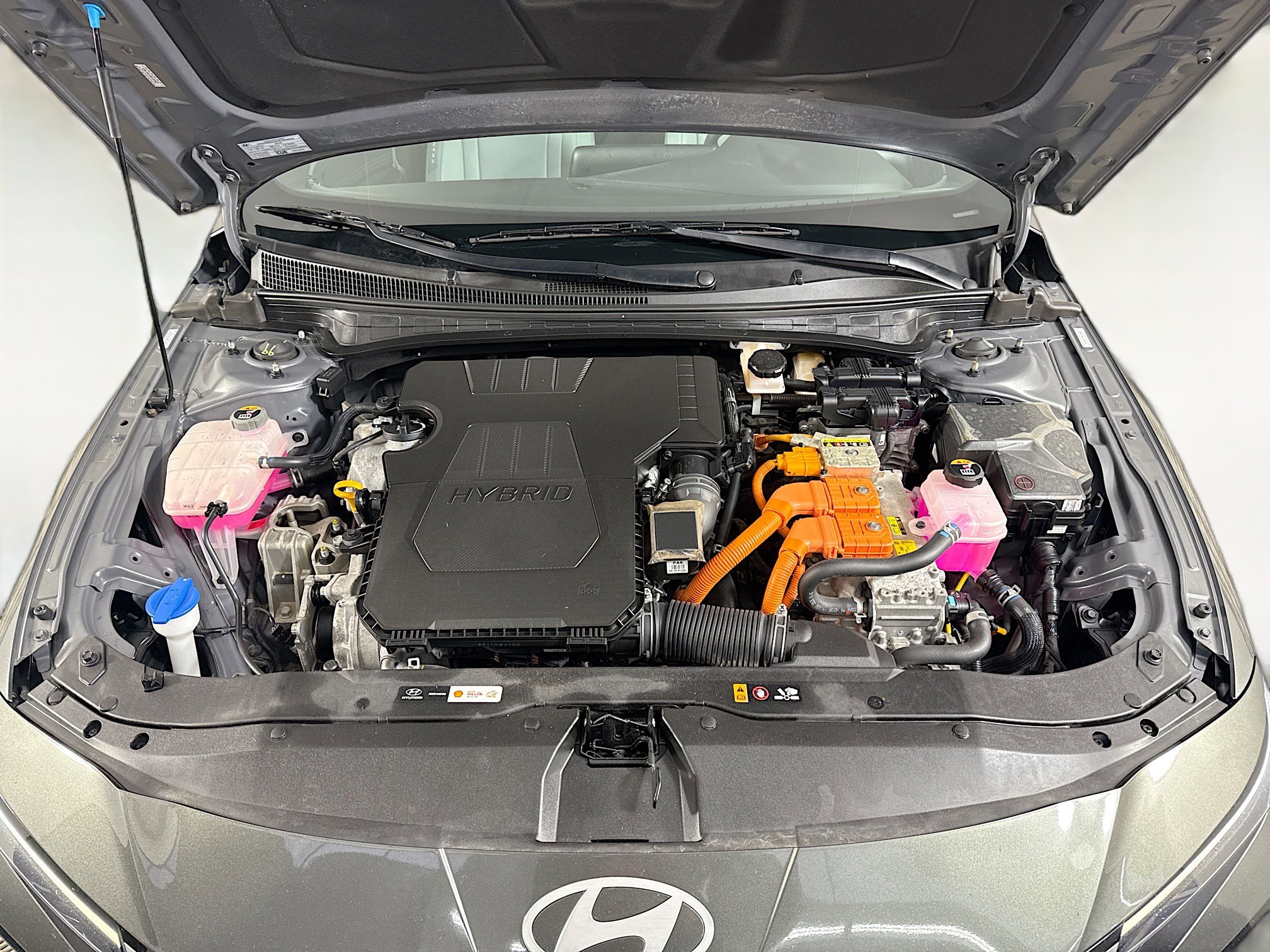 Used 2024 Hyundai Elantra Limited image 39