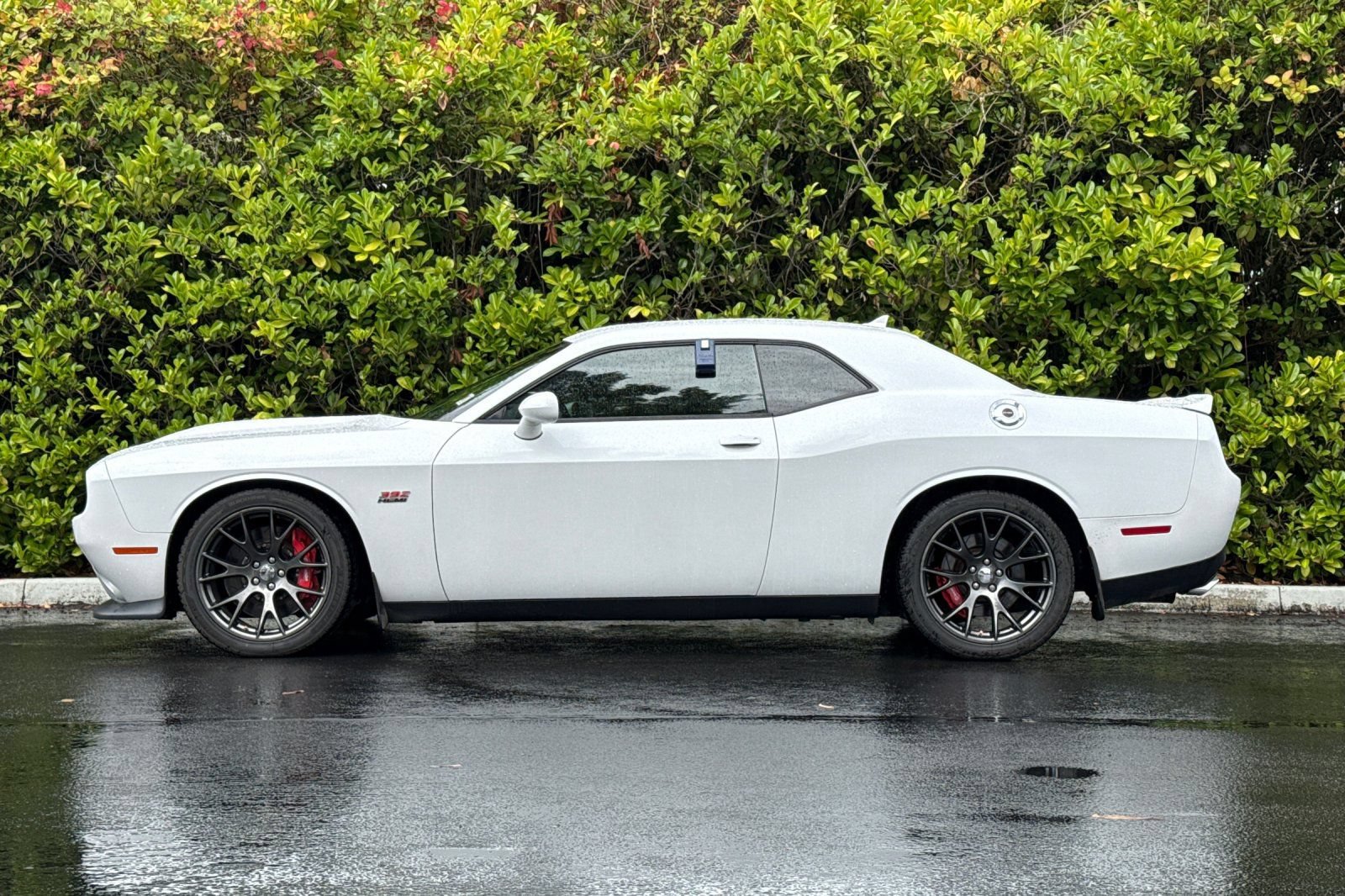 Used 2015 Dodge Challenger SRT w/ Technology Group RWD image 7