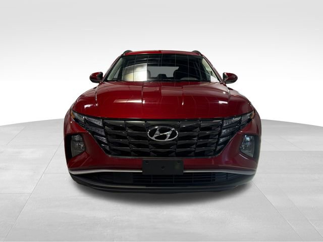 Used 2024 Hyundai Tucson SEL image 2