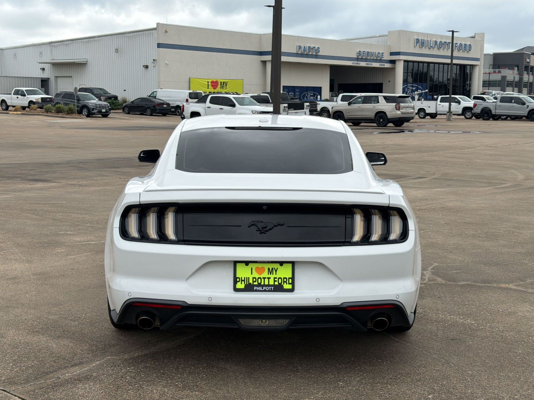 Used 2019 Ford Mustang Premium RWD image 10
