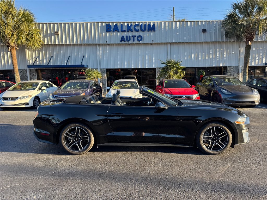Used 2023 Ford Mustang Premium image 1