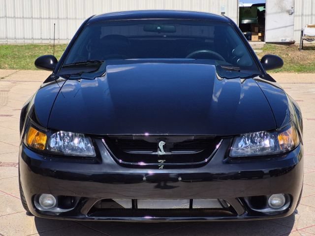 Used 2001 Ford Mustang Cobra RWD image 2