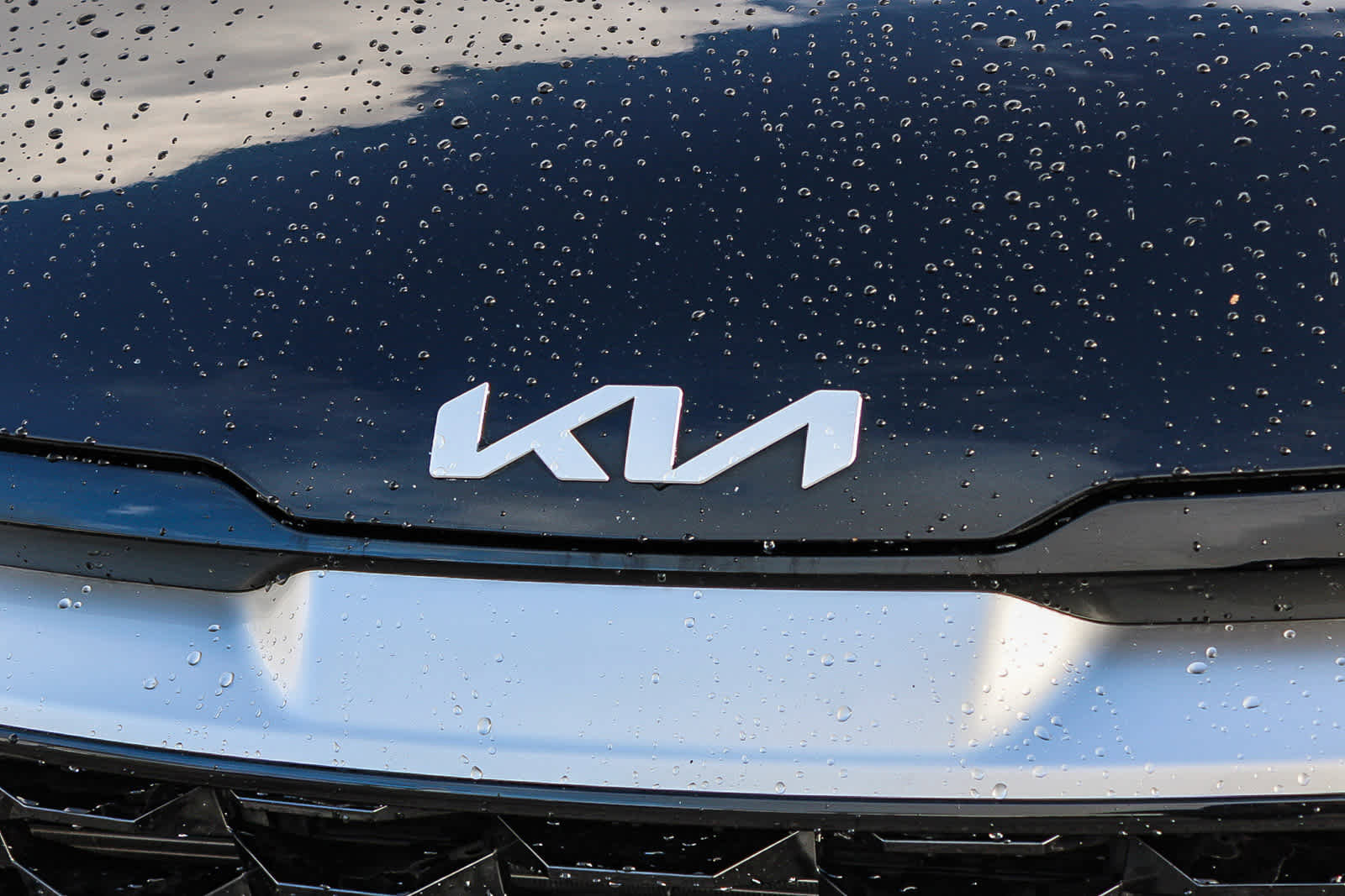 Used 2023 Kia Sportage EX image 11