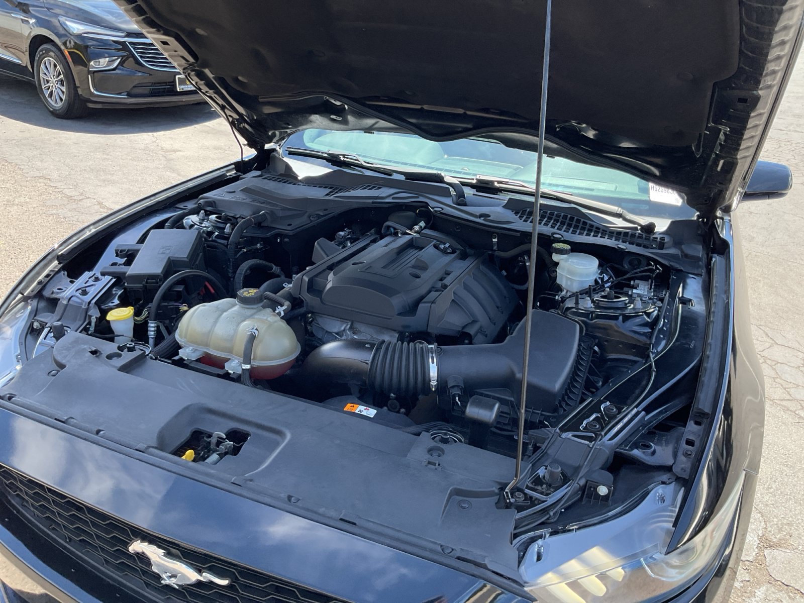 Used 2017 Ford Mustang Premium w/ Equipment Group 201A RWD image 23