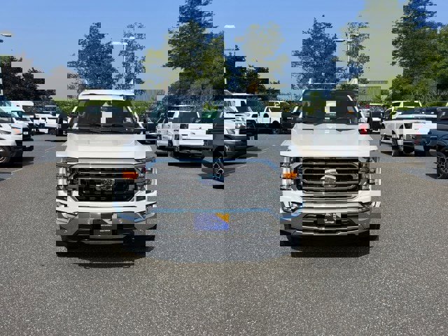 Certified 2022 Ford F150 XLT w/ Equipment Group 302A High image 2