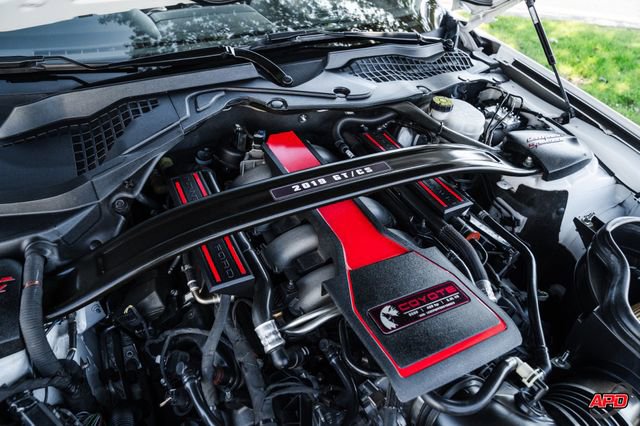 Used 2019 Ford Mustang GT Premium w/ Equipment Group 401A image 30