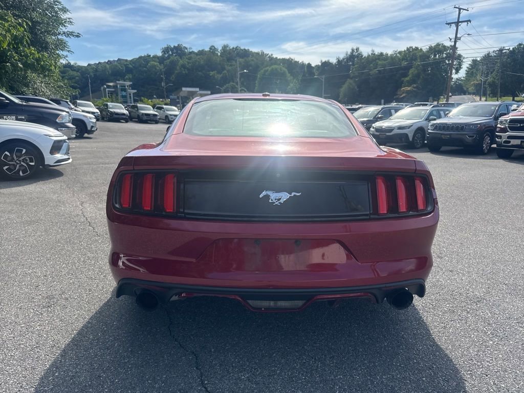 Used 2015 Ford Mustang Premium w/ Equipment Group 201A RWD image 5