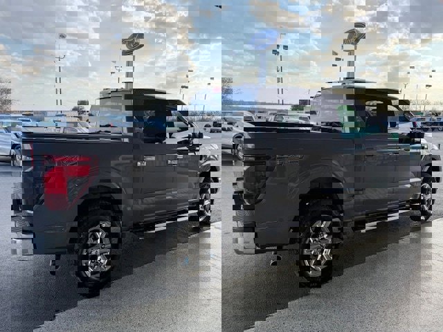 Used 2025 Ford F150 XLT w/ Equipment Group 301A Standard image 6