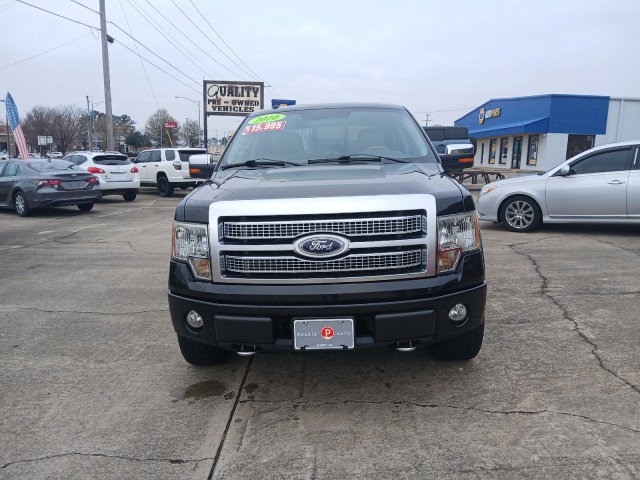 Used 2010 Ford F150 Platinum image 11