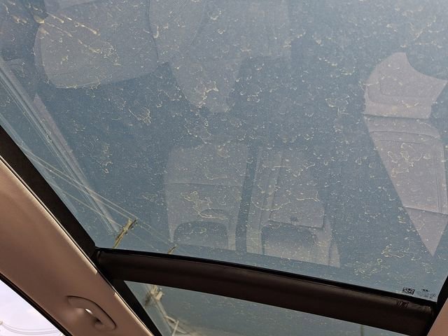 Used 2023 Hyundai Tucson Limited image 14