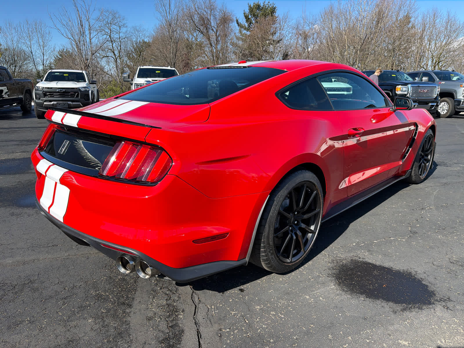 Used 2016 Ford Mustang Shelby GT350 w/ Technology Package image 9