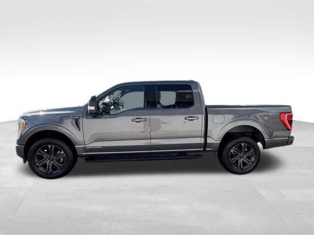 Used 2023 Ford F150 XLT w/ Equipment Group 302A High image 8