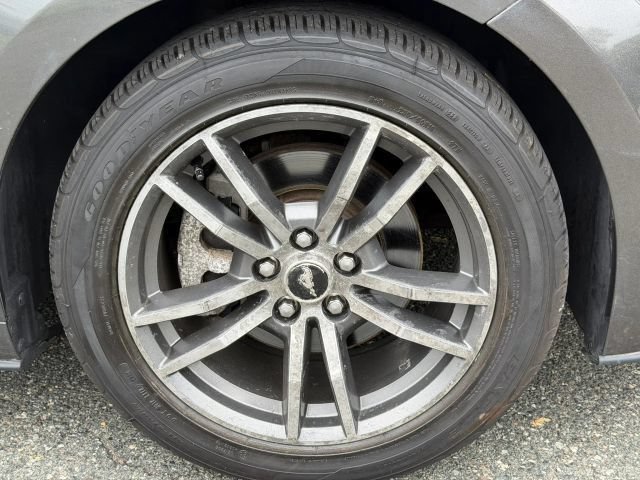 Used 2015 Ford Mustang Premium w/ Equipment Group 201A RWD image 9