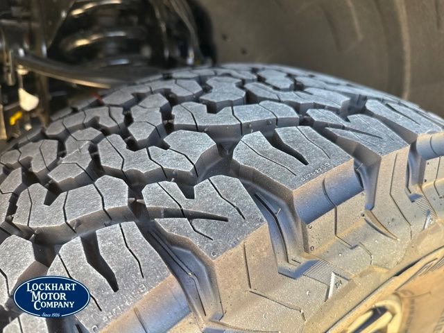 New 2025 Ford F150 Raptor image 28