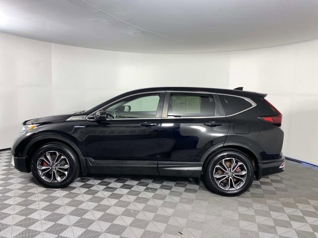 Used 2020 Honda CR-V EX-L image 5