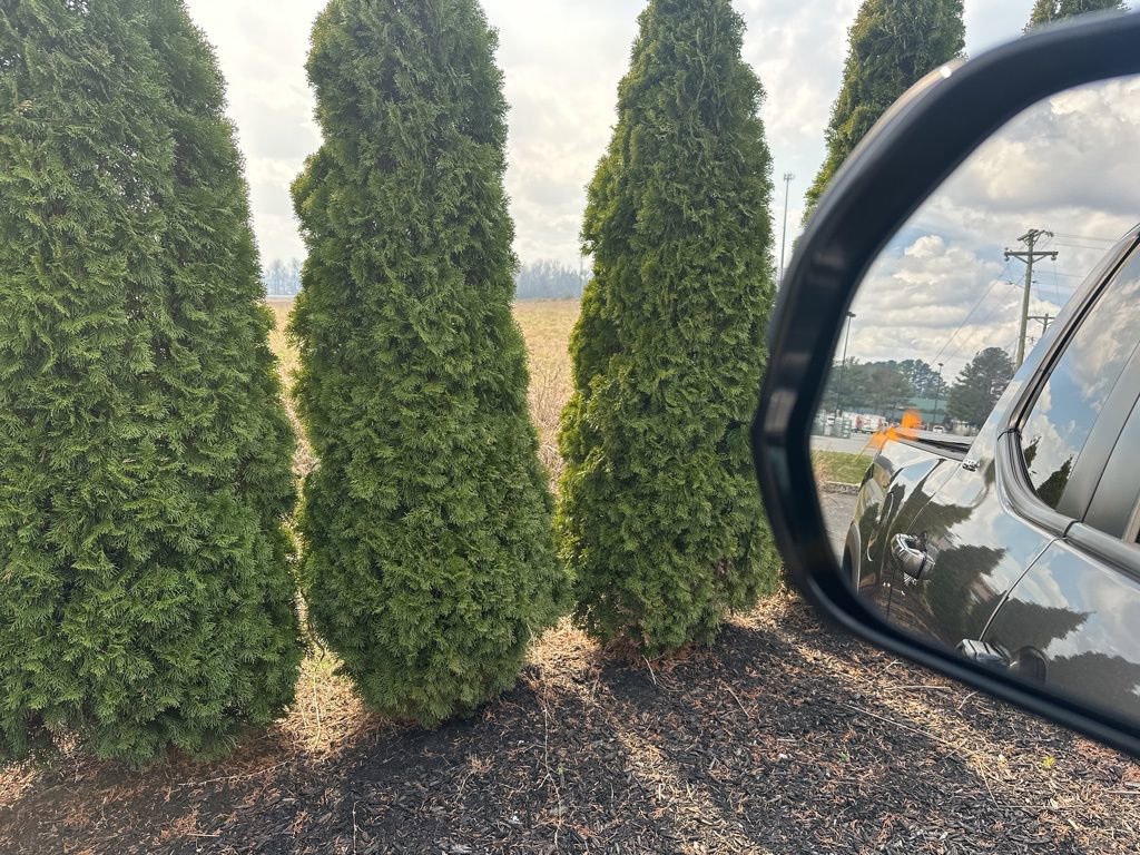 Used 2024 Toyota Tundra SR5 w/ SR5 Premium Package image 16