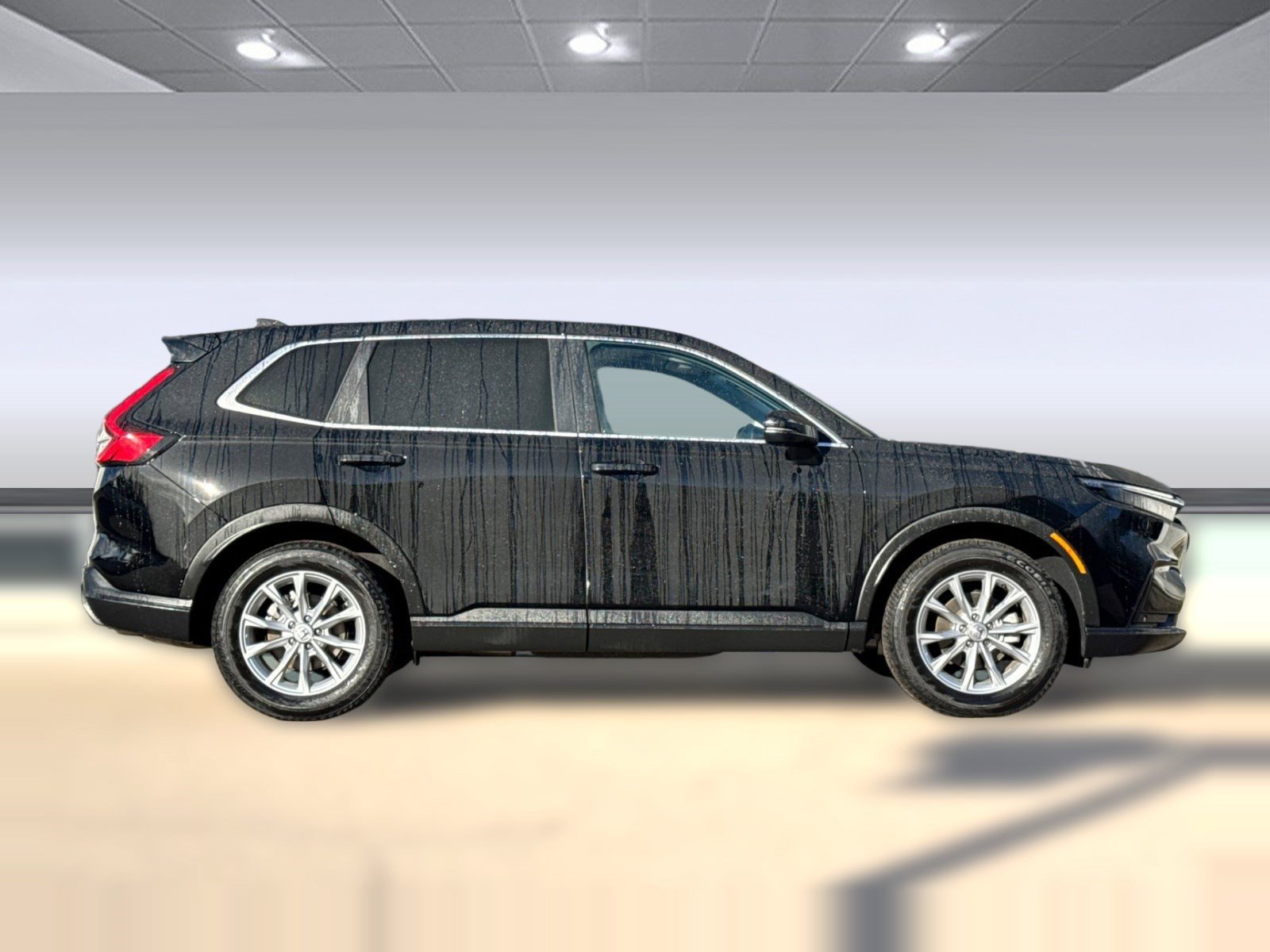 Certified 2025 Honda CR-V EX-L image 7