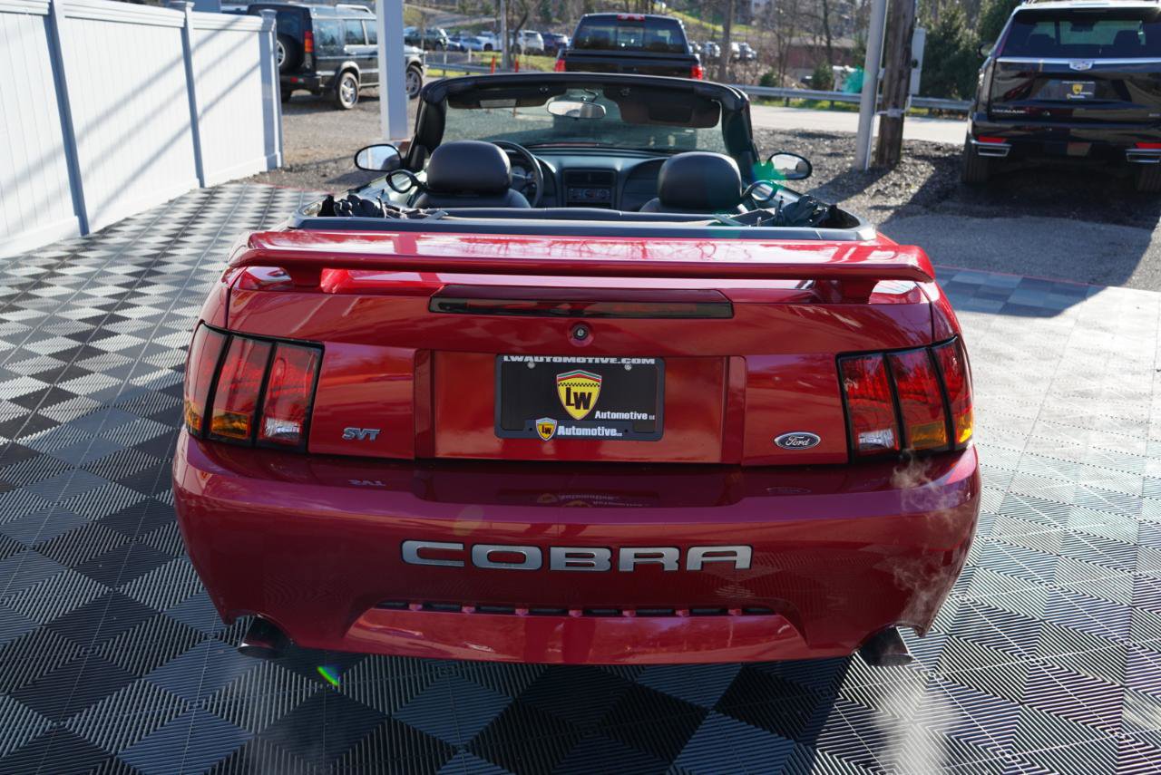 Used 2001 Ford Mustang Cobra image 7