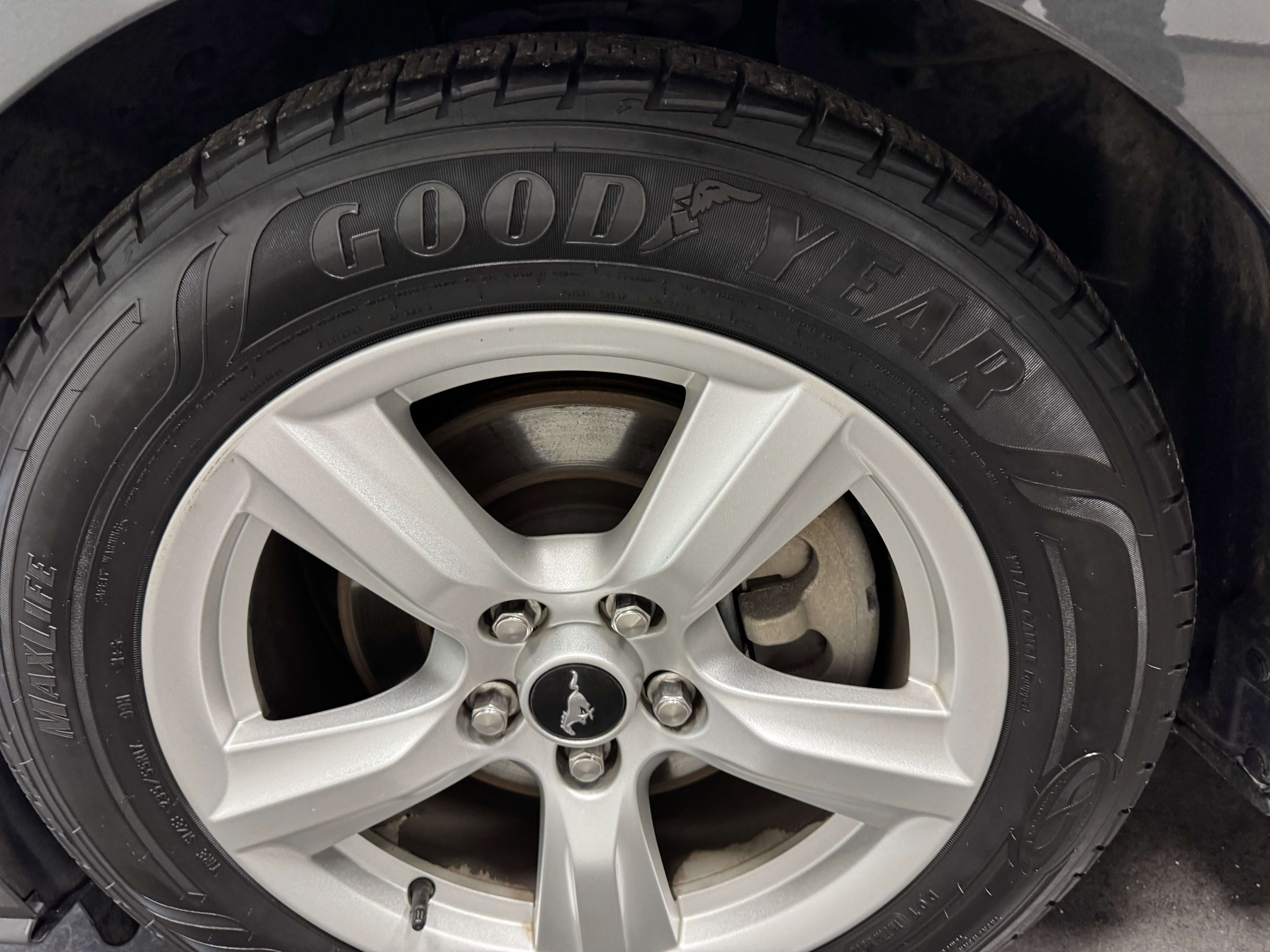 Used 2019 Ford Mustang Coupe image 12