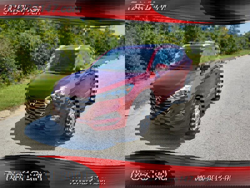 View Video