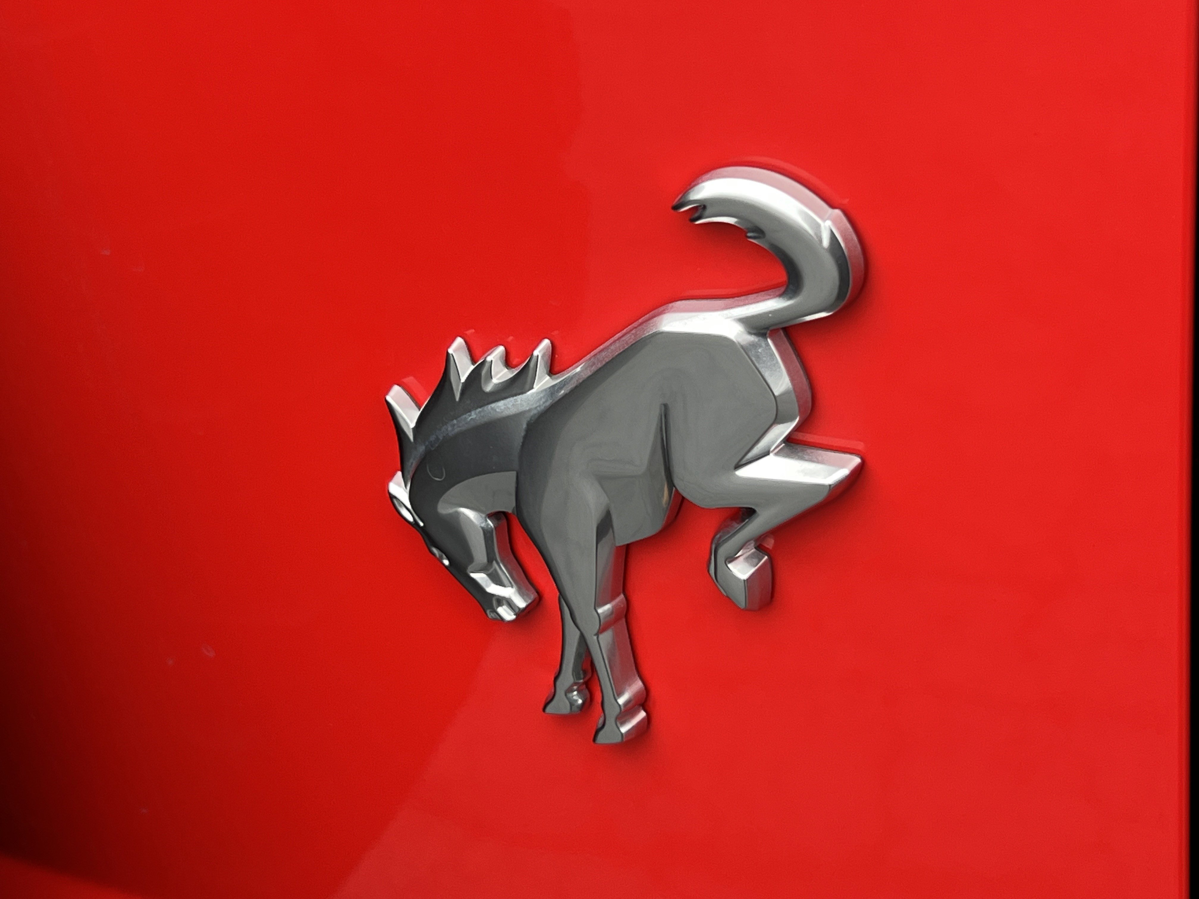 Used 2023 Ford Bronco Badlands image 9