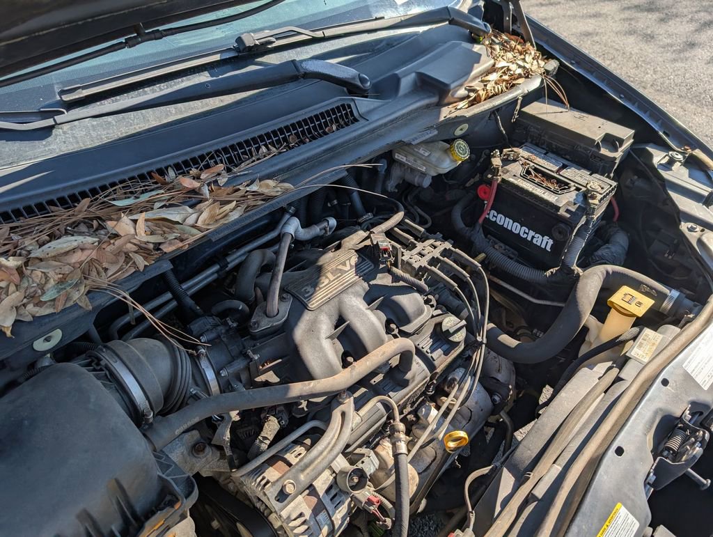 Used 2008 Chrysler Town & Country LX image 12